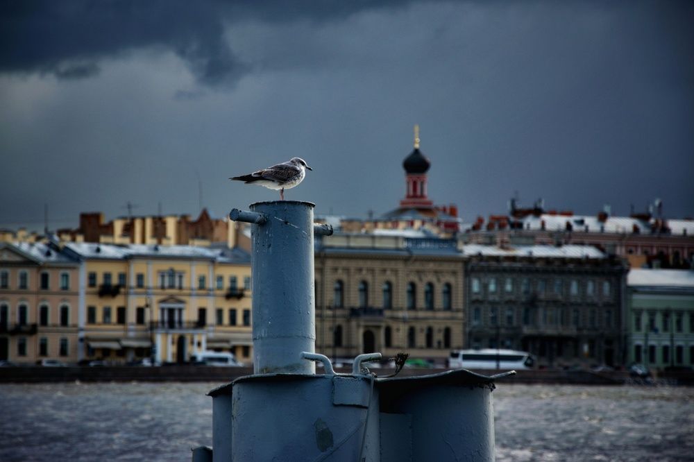 Photograph by Alex Orlov