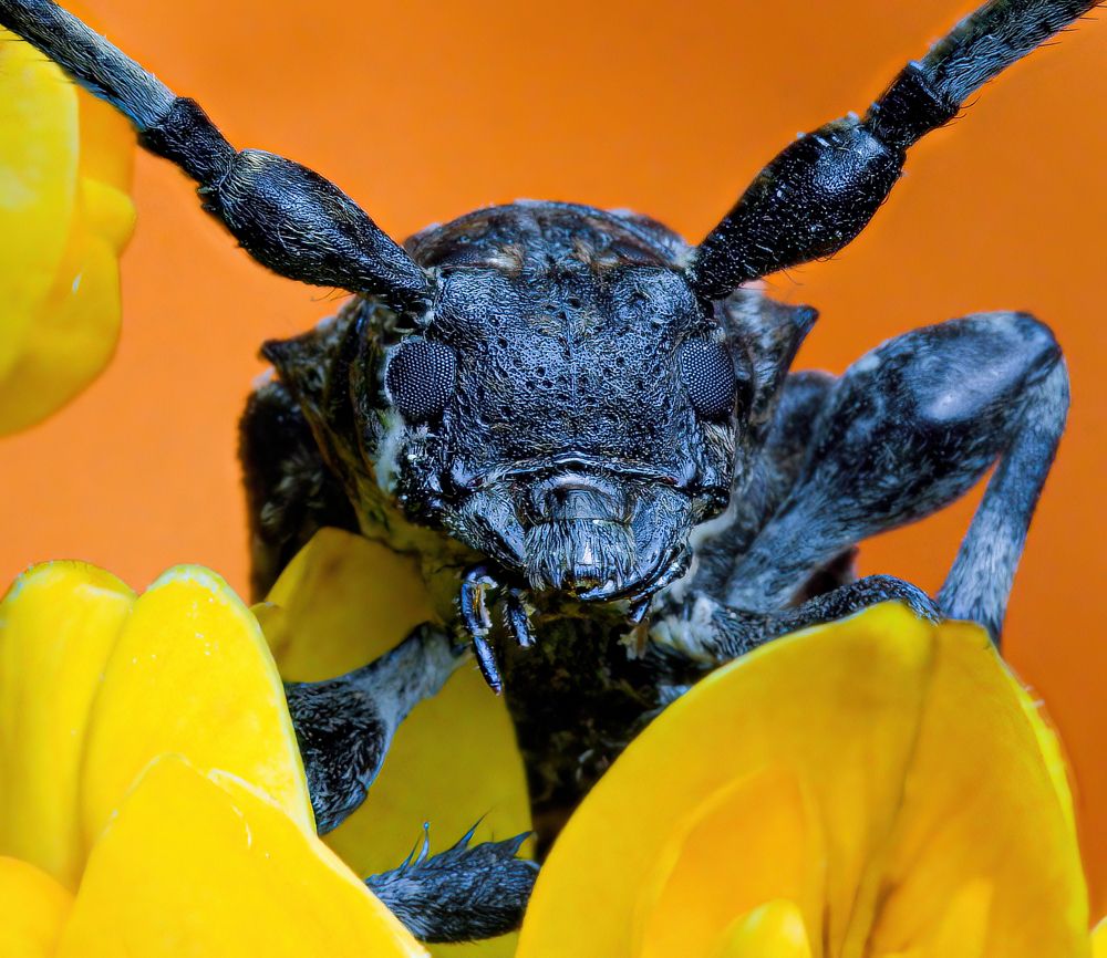 Photograph by Парфентьев Антон