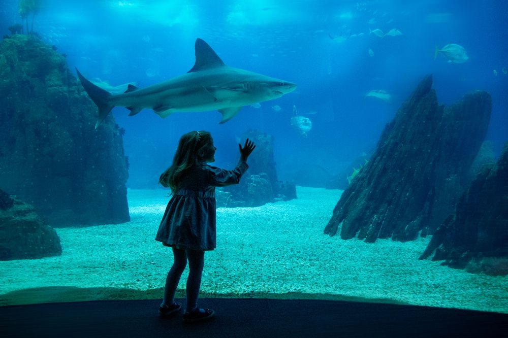 Фотография автора Оксана Мерзликина