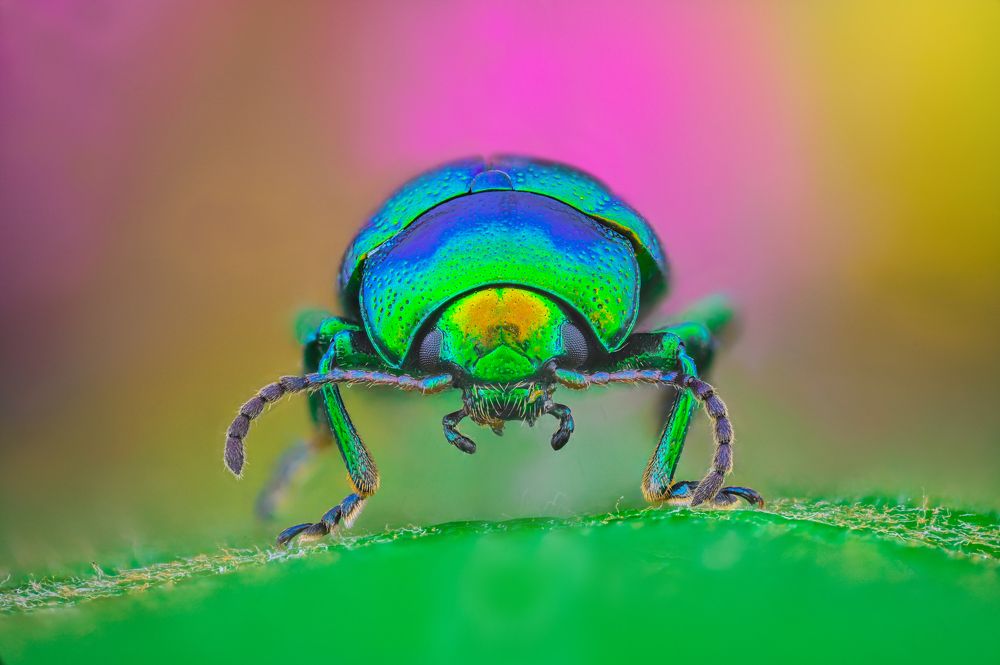 Photograph by Tsvetan Ganev