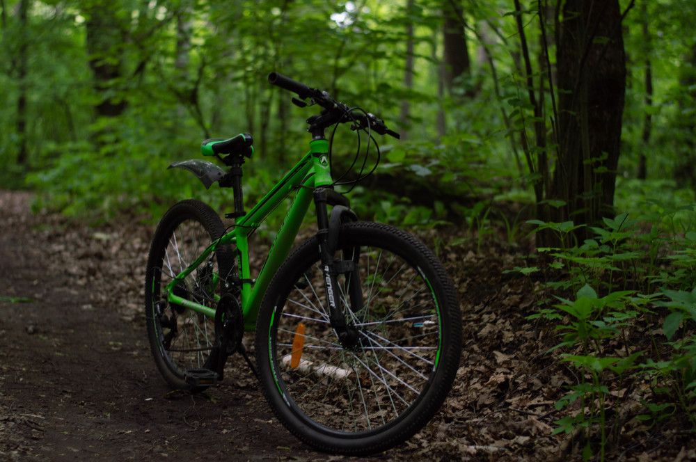 Photograph by Ангелина Ларина