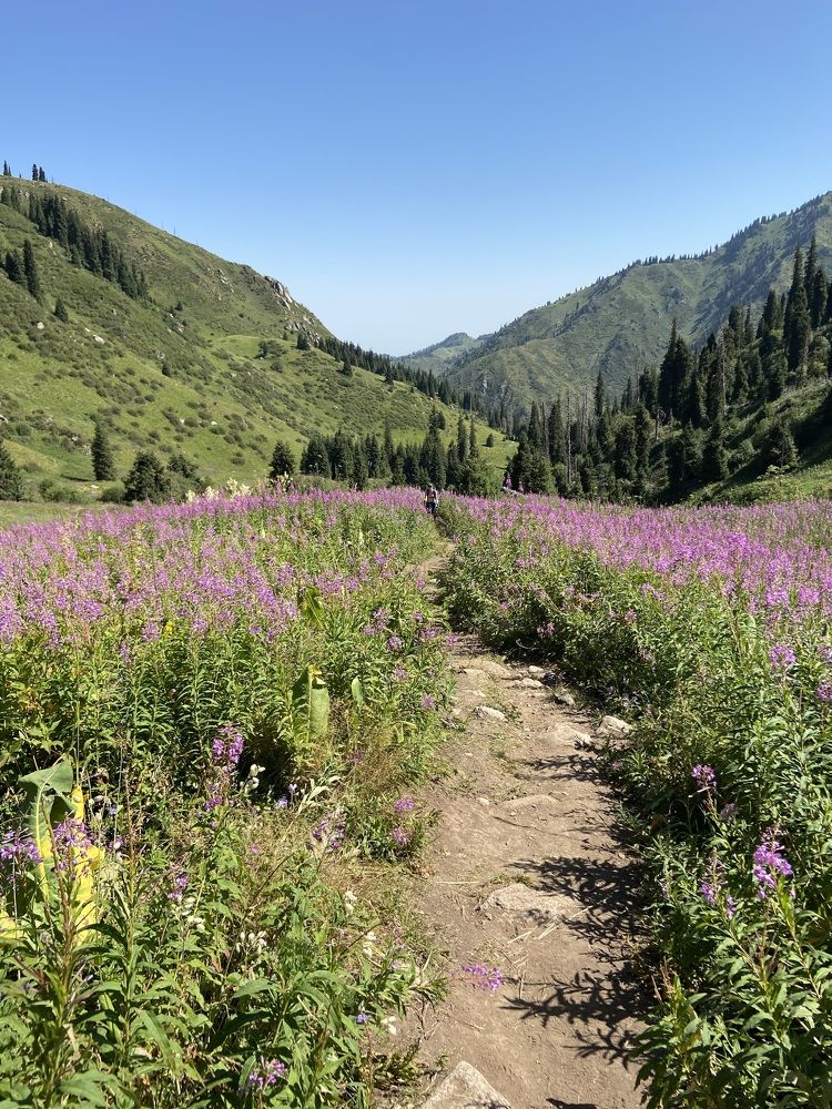 Photograph by Екатерина Вишнякова