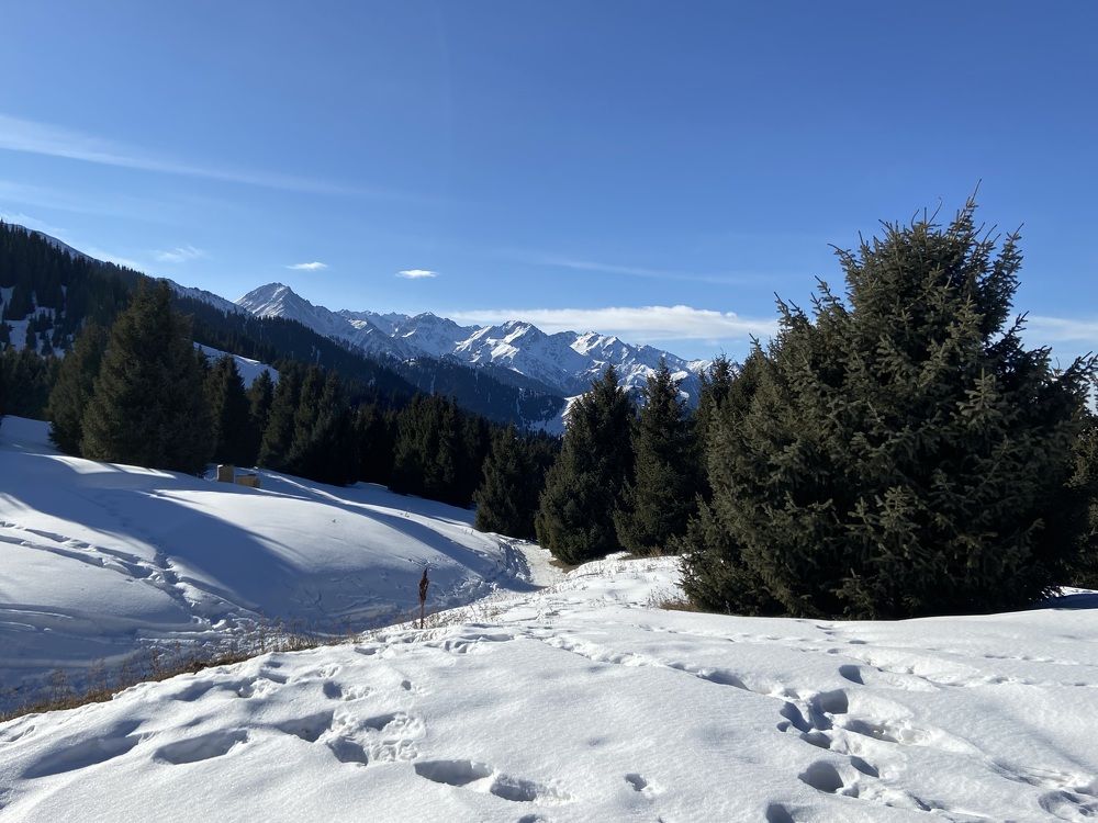 Photograph by Екатерина Вишнякова