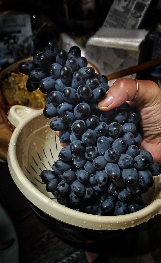 Photograph by Наталья Рау