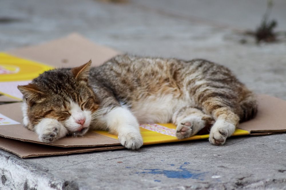 Photograph by Ekaterina Chernyshova