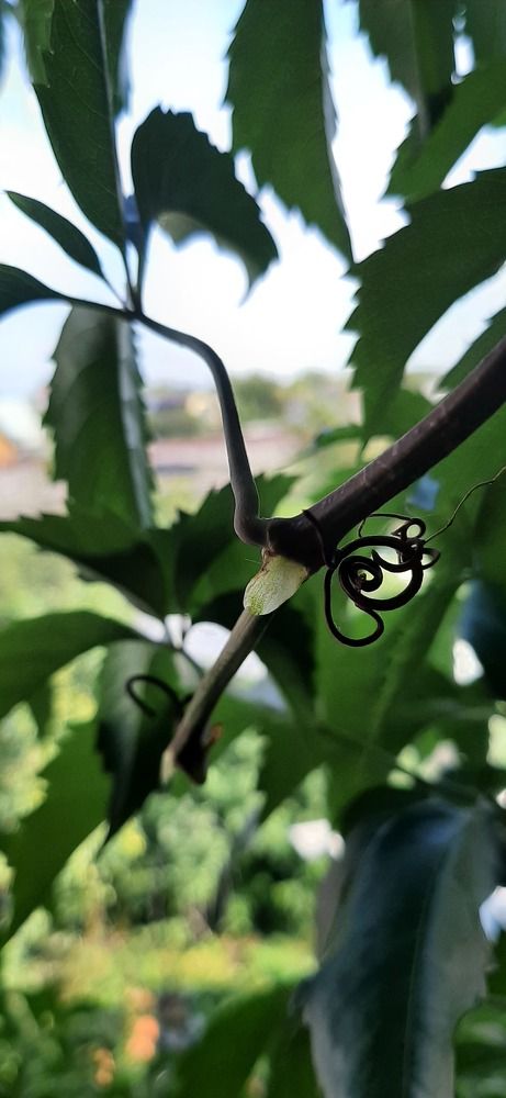 Photograph by Ирина