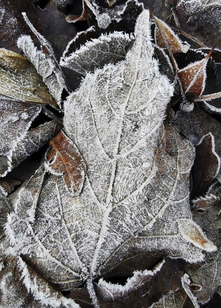 Photograph by Ева Мельникова