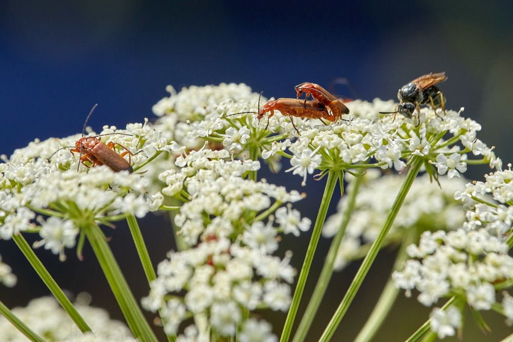 Photograph by Татьяна Полянская