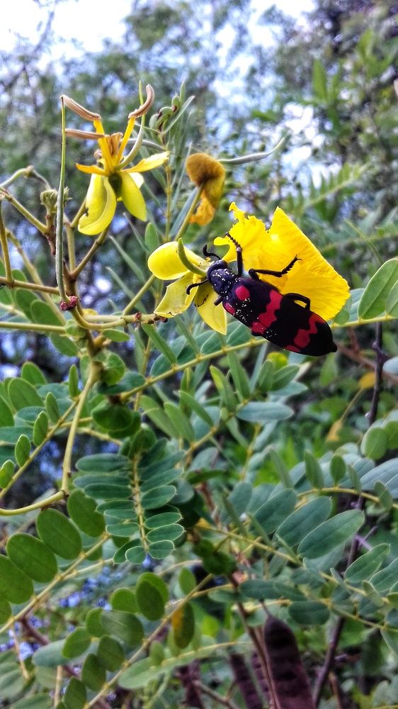 Photograph by Sash Jay