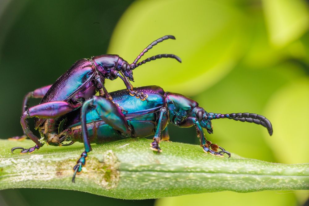 Photograph by Sunil Kumar paswan