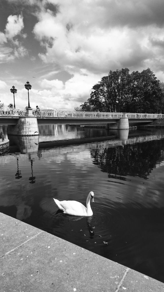 Photograph by Александра Карчевская