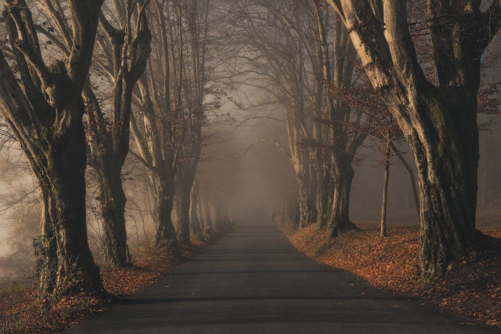 Photograph by Thomas de Franzoni