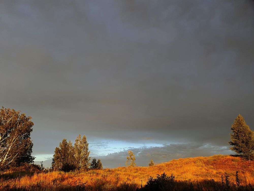 Фотография автора Надежда Лисицына