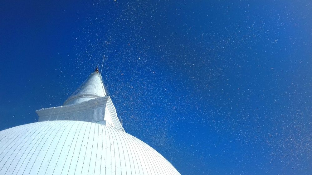 Photograph by Sash Jay