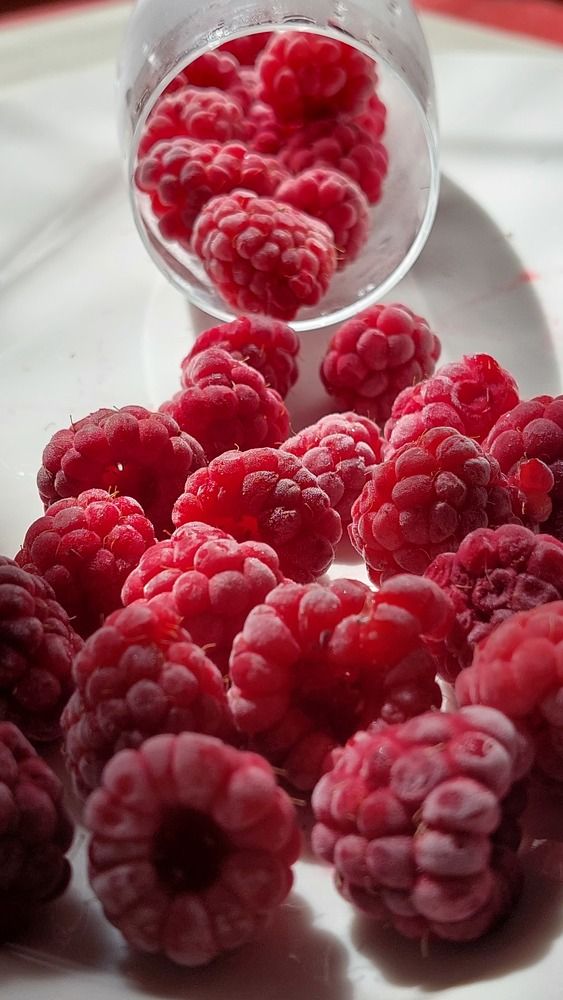 Photograph by Светлана Усатенко