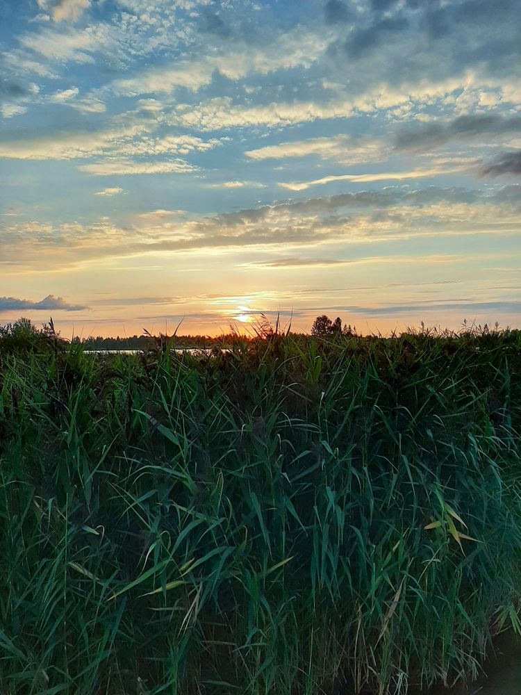 Photograph by Наталья Шехова