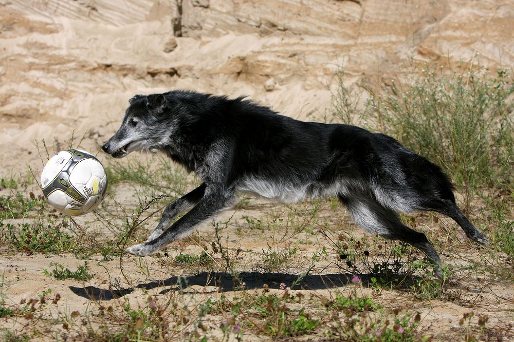 Фотография автора Надежда Лисицына