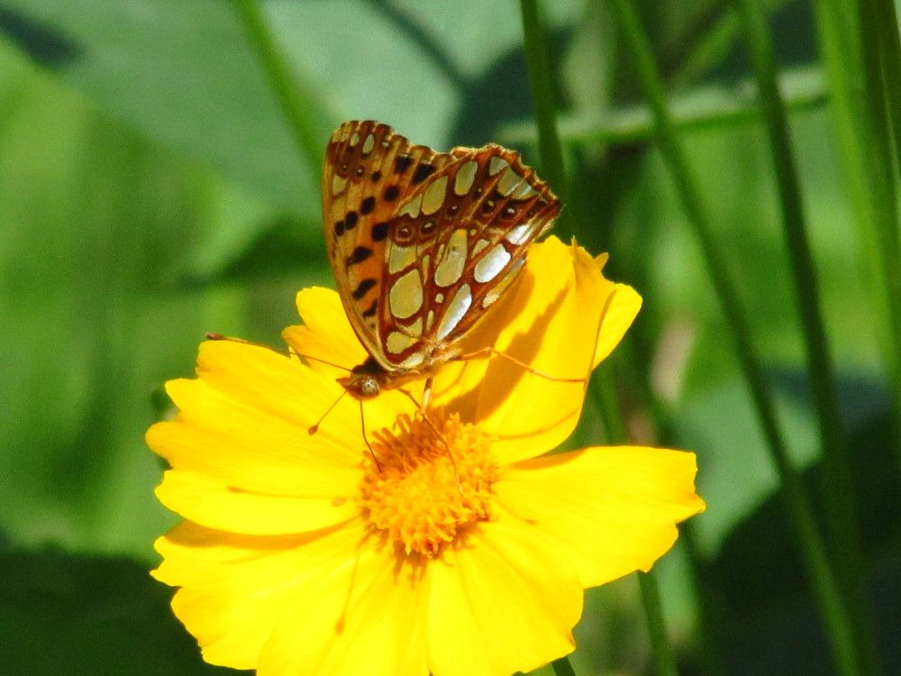 Photograph by Лысых Галина