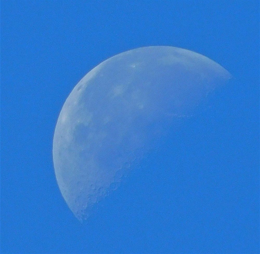 Photograph by Виктория Спицына