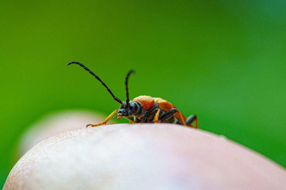 Photograph by Сергей Белов