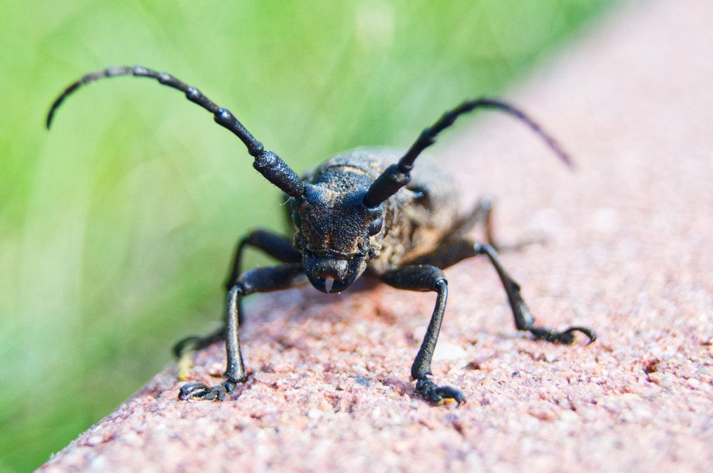 Photograph by Ольга Новикова