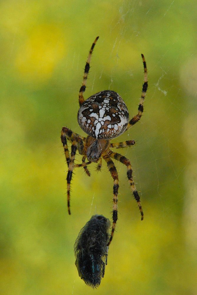 Photograph by Сергей Белов