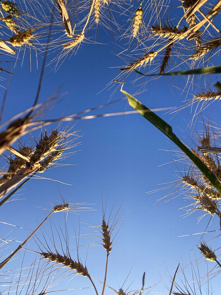 Photograph by Оксана Сидоренко