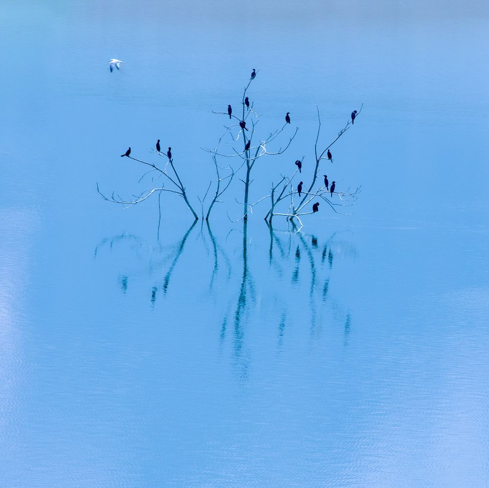 Фотография автора Alipour mohammad