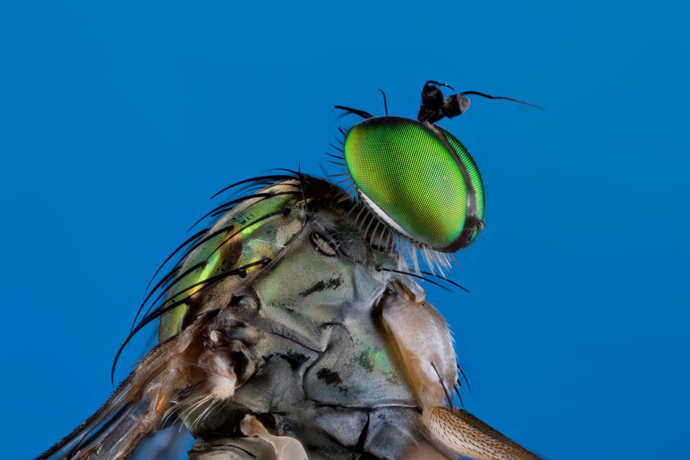 Photograph by Vida Shams