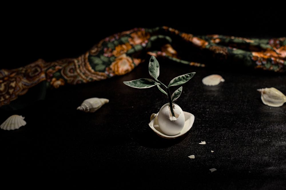 Photograph by Марина Жиделева