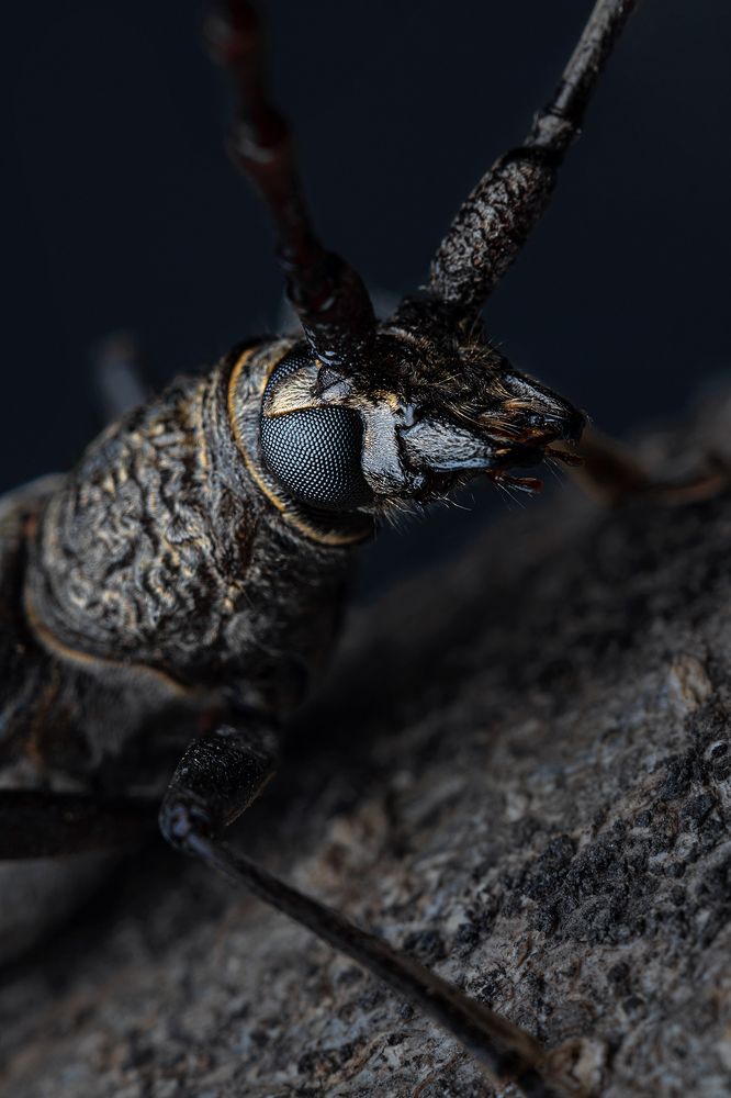 Photograph by Михаил Шпирко