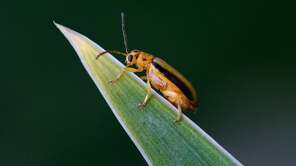 Photograph by Михаил Шпирко