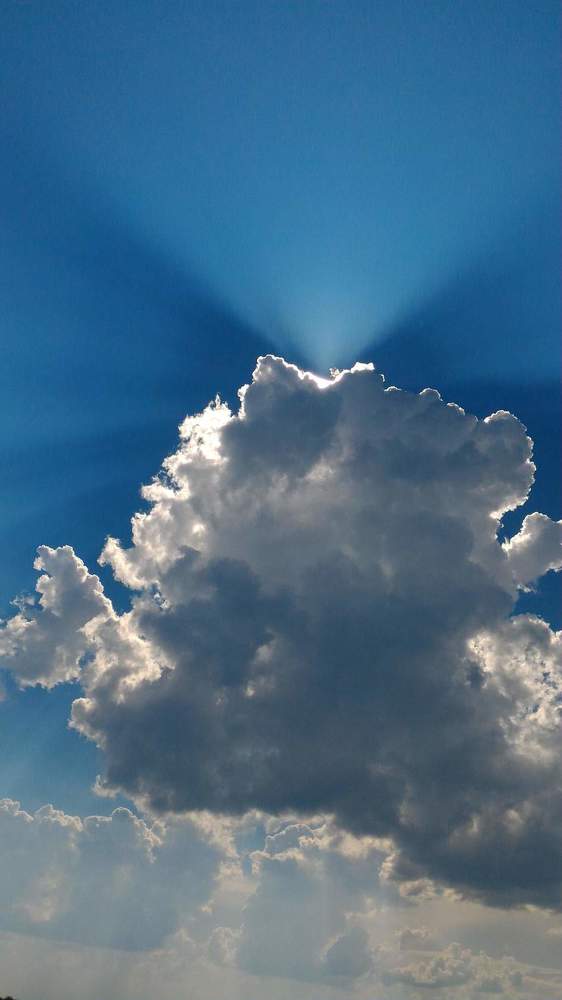 Photograph by Елена