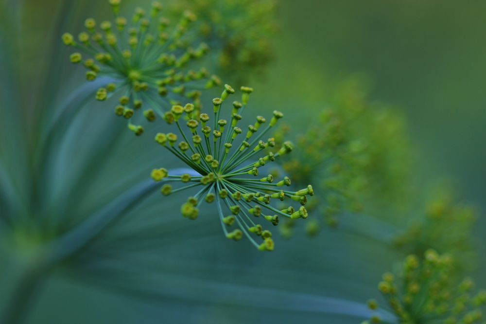 Photograph by Екатерина Воробьева