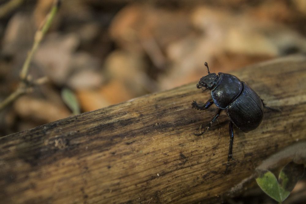 Photograph by iliya levkov