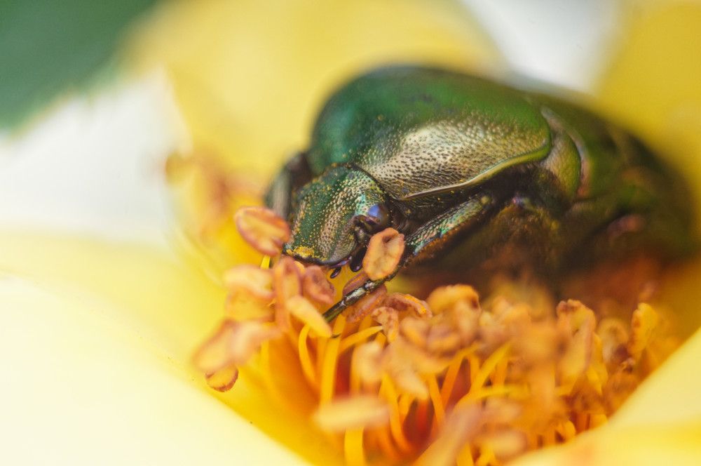 Photograph by Ольга Новикова