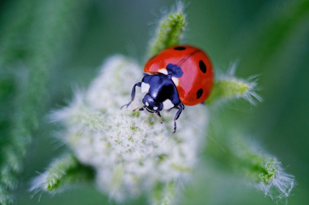 Photograph by Ольга Новикова