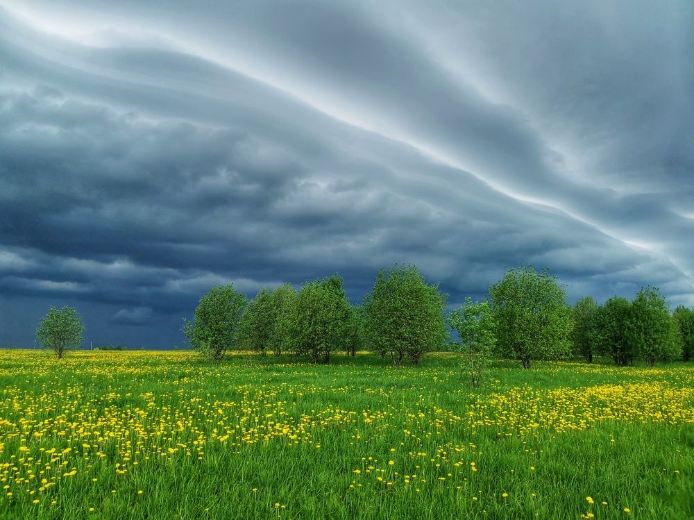 Фотография автора Андрей Шестаков