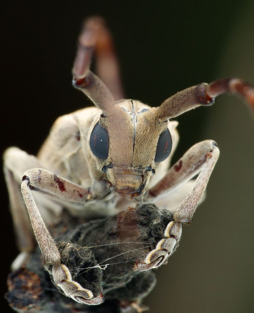 Photograph by Sunil Kumar paswan
