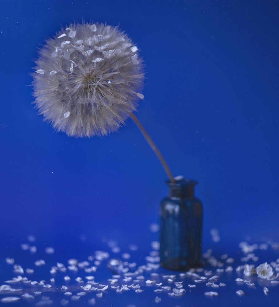 Photograph by Svoboda Andreeva