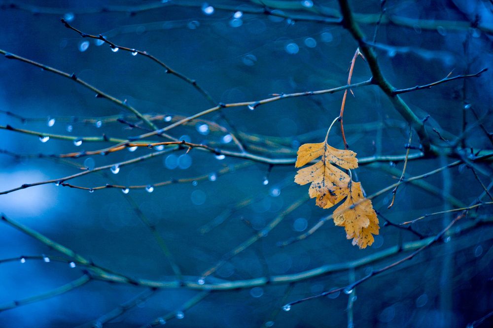 Photograph by Svoboda Andreeva