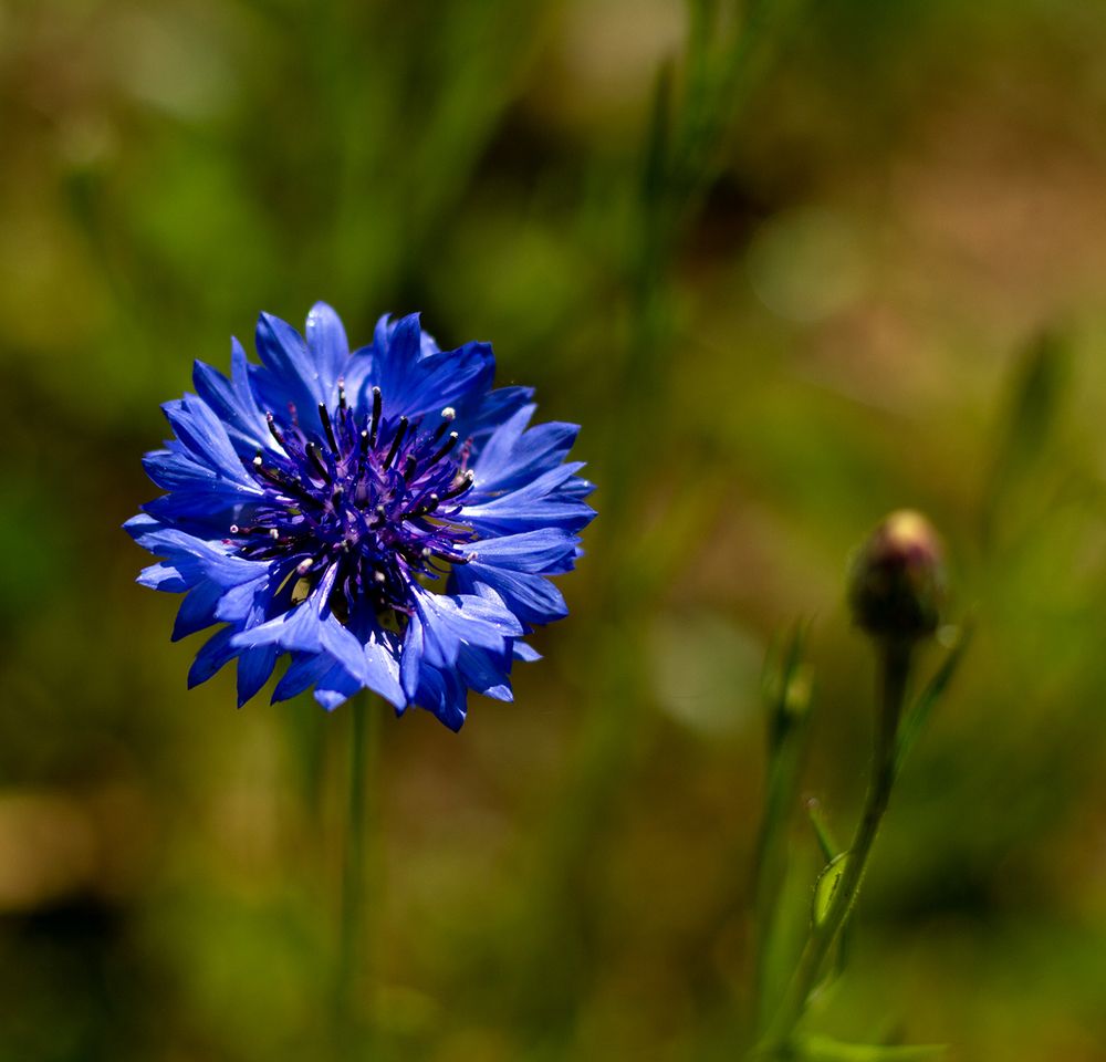 Photograph by Татьяна Кучерова