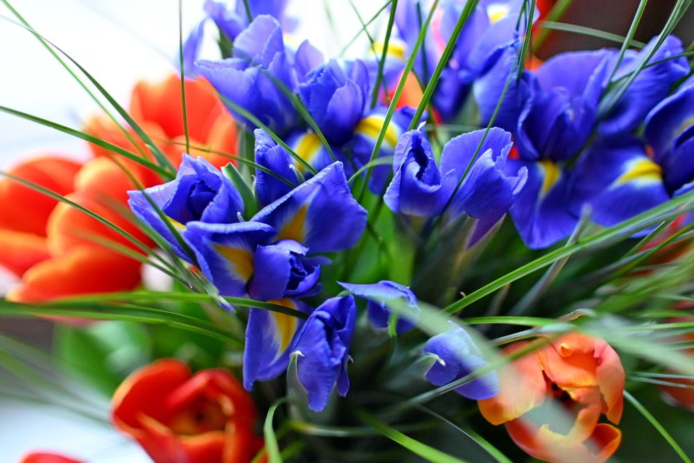 Photograph by Милана Бабченко