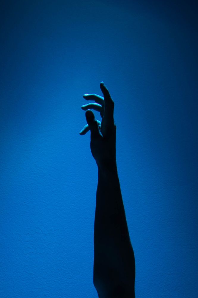 Фотография автора Тимофей Строгий