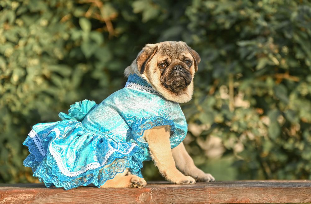 Photograph by Милана Бабченко