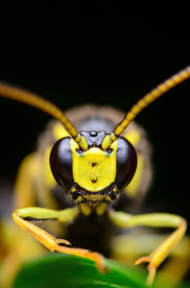 Фотография автора Сергей Чебанов