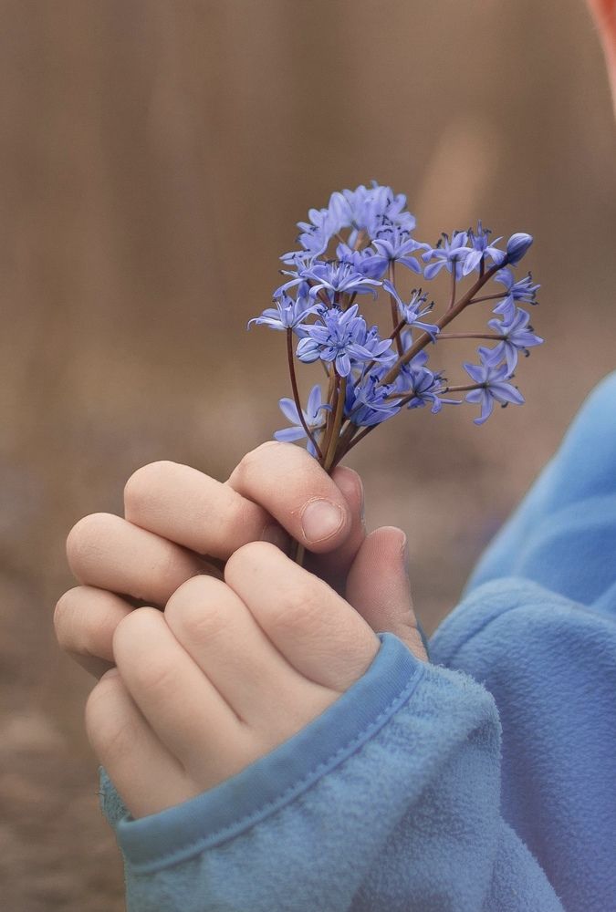 Photograph by Буря Алина