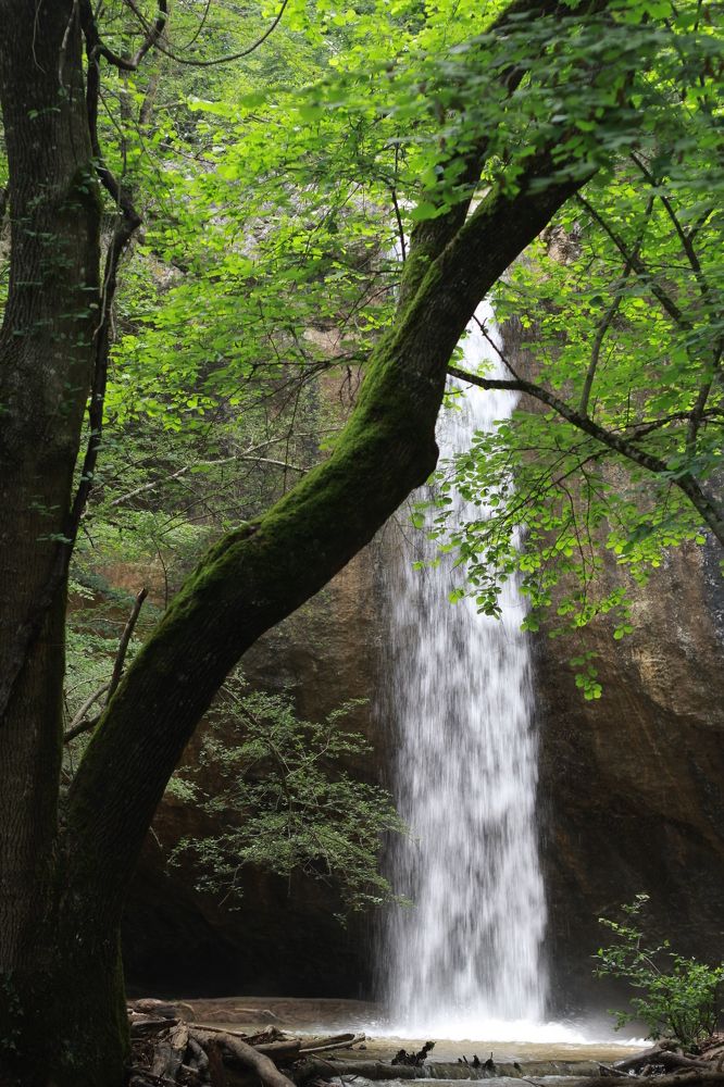 Photograph by Расшивина Дарья