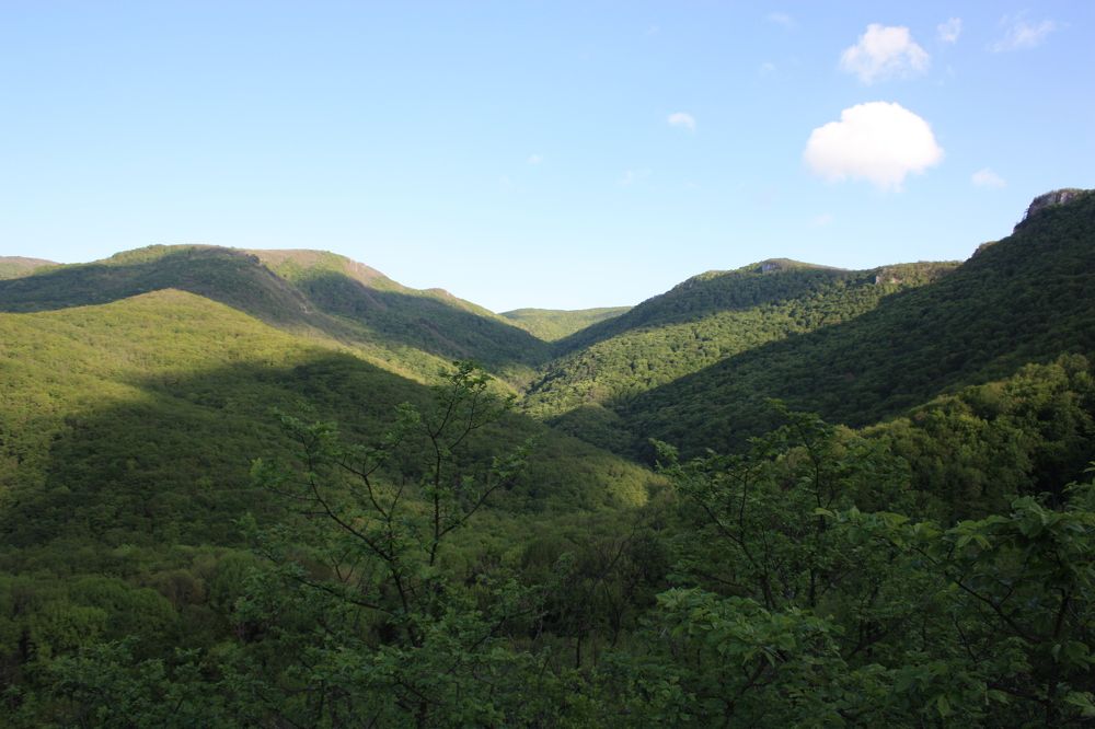 Photograph by Расшивина Дарья