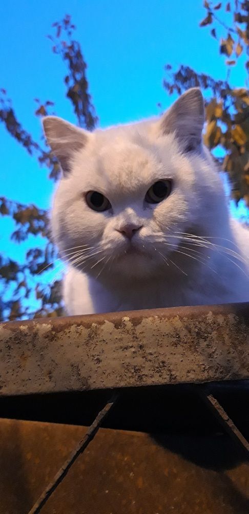 Photograph by Ирина